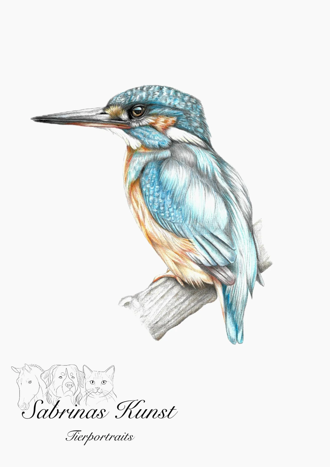 Handgezeichneter Eisvogel von Sabrina Kunst