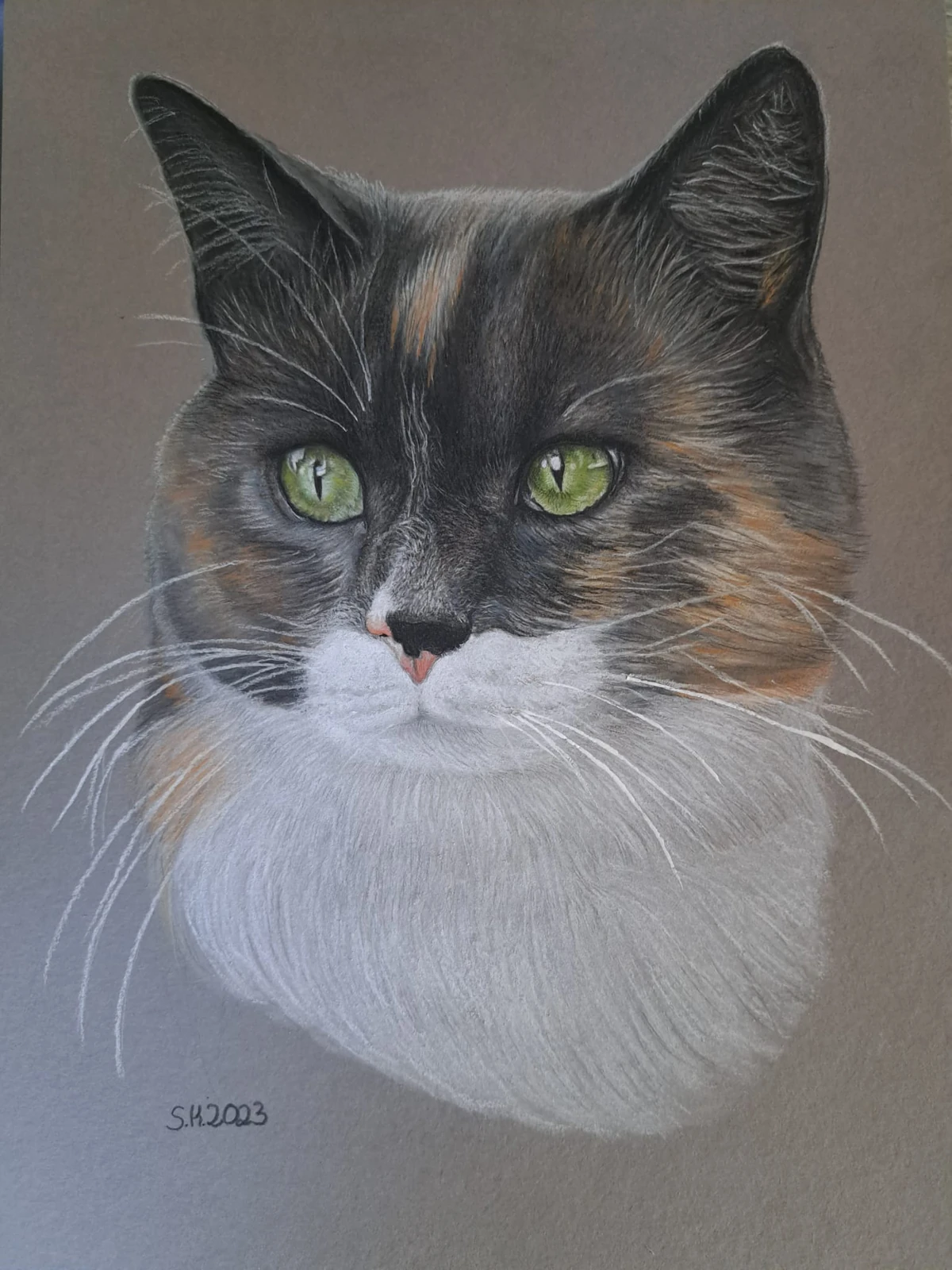 Individuelles Pastellportrait einer Katze