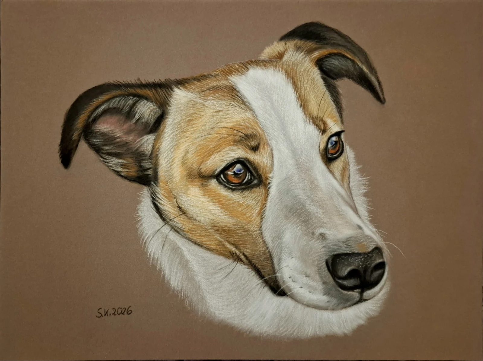 Originalzeichnung: Hund